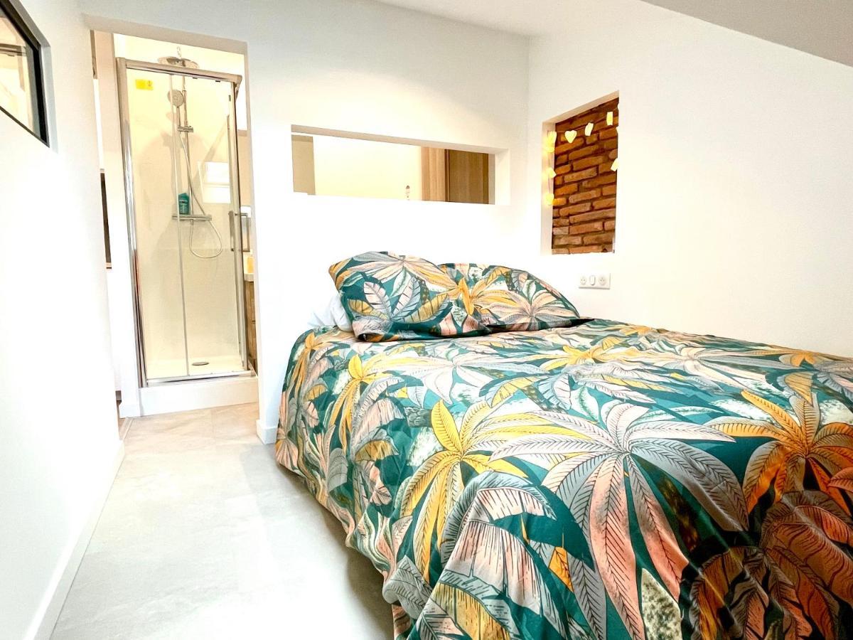 Appartamento Baby Loft Centre Historique Tolosa Esterno foto
